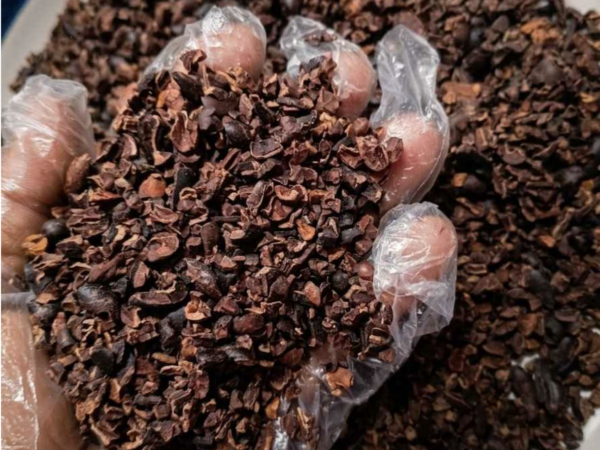 NIBS DE CACAO – CRUDO Y TOSTADO