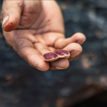 5 Beneficios del Cacao para tu Salud que la Ciencia Confirma